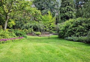 Optimiser l'expérience du jardin à Carrieres-sous-Poissy